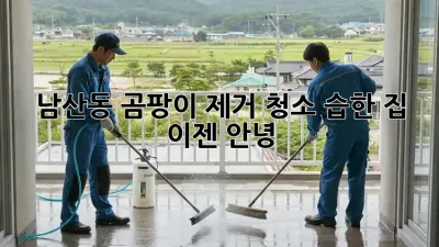 남산동 곰팡이 제거 청소: 습한 집, 이젠 안녕!